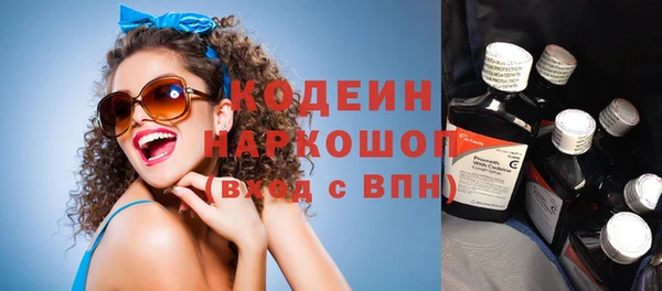 хмурый Анива